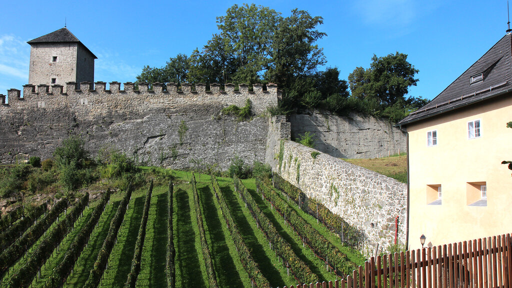 Das ist der Weingarten mitten in Salzburg Salzburg Tourismus GmbH